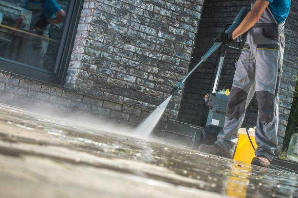 Best Driveway Pressure Washing  in Ligonier, IN