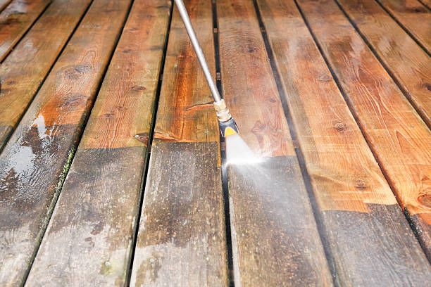 Best Solar Panel Cleaning  in Ligonier, IN